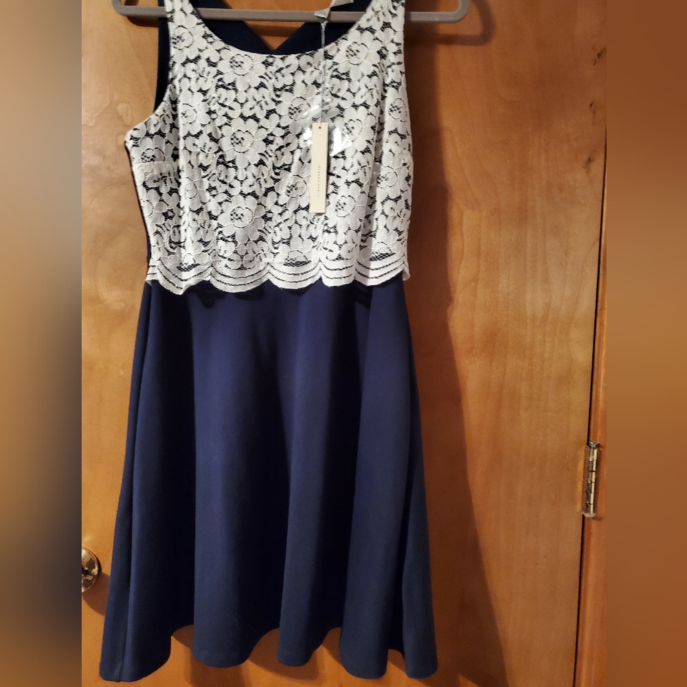 NWT LC vintage dress